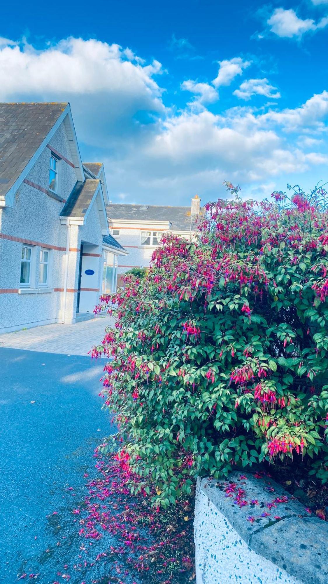 Sonas House Bed & Breakfast Kilkenny Luaran gambar